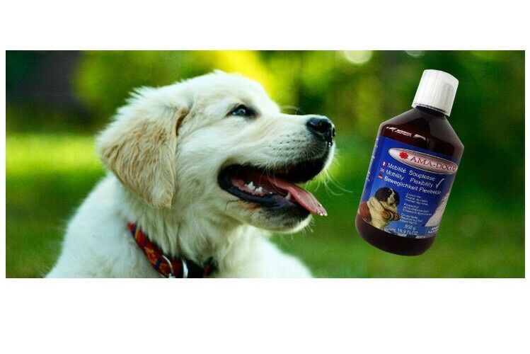 AmaDog Liquid Joint Supplement Arthritis/Hip Dyspla Pain Relief Linolenic Acid buypetcentral