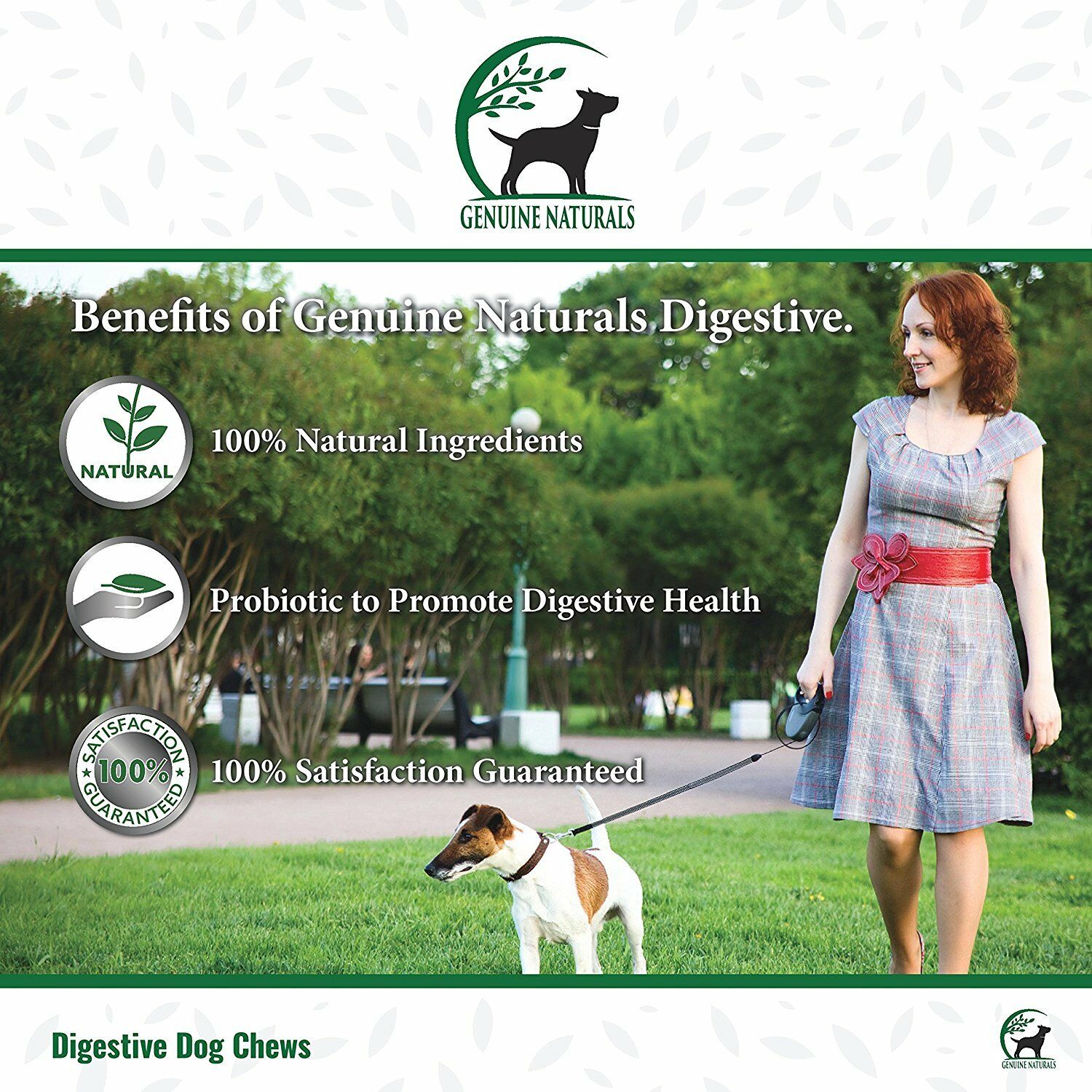 Digestive Health Supplement for Cats and Dogs Genuine Naturals 1 Soft