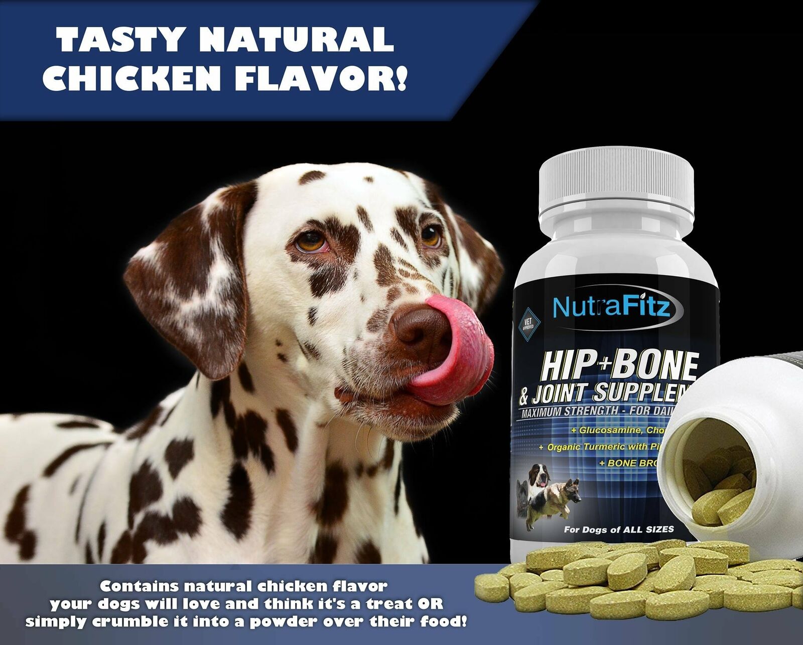 Hip Bone and Joint Supplement for Dogs Glucosamine Chondroitin for Dogs MSM buypetcentral