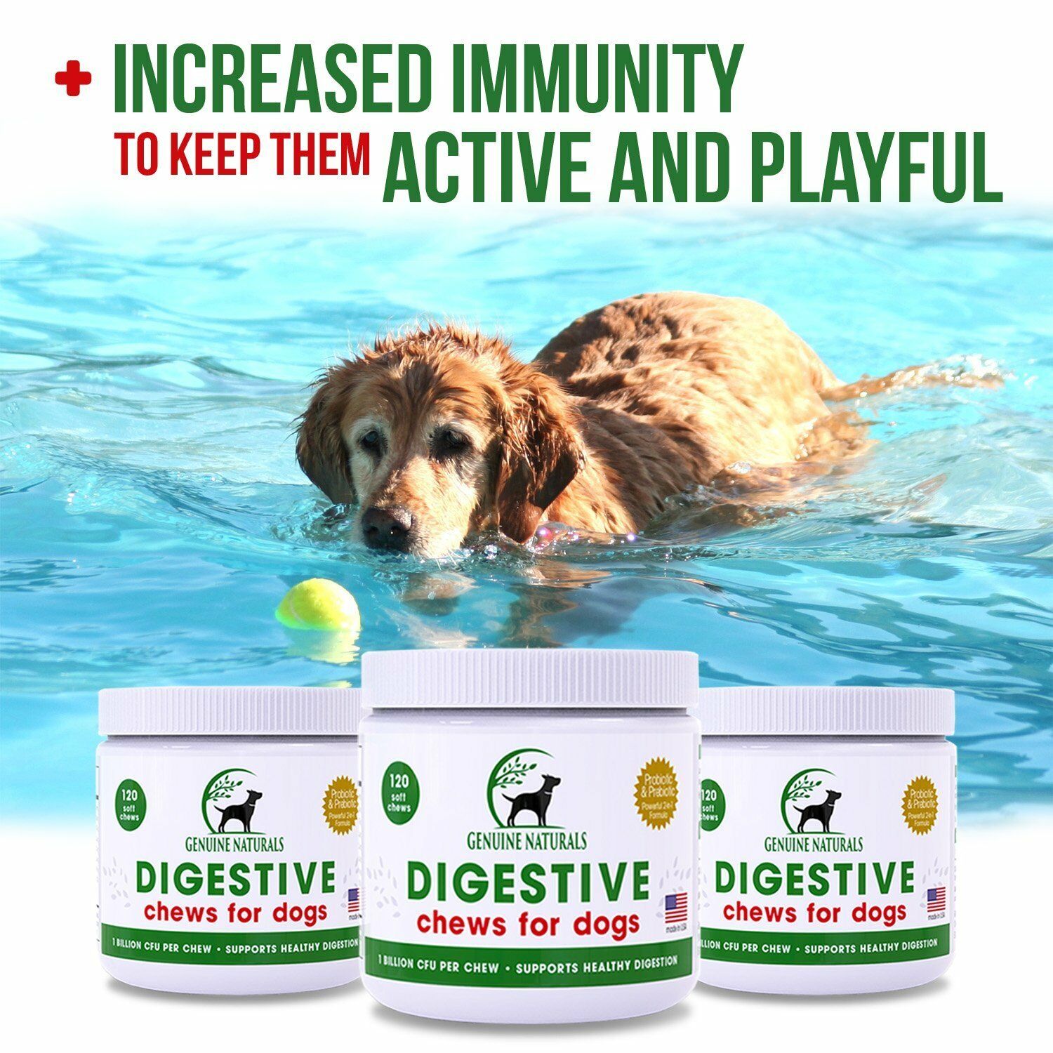 Digestive Health Supplement for Cats and Dogs Genuine Naturals 1 Soft