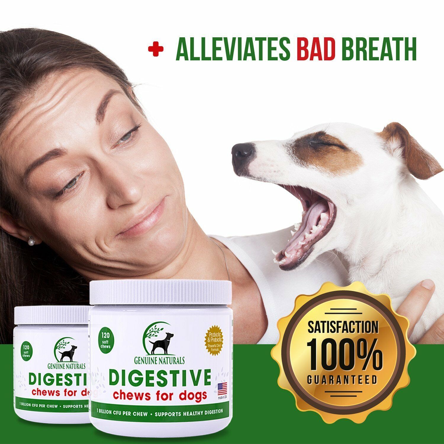 Digestive Health Supplement for Cats and Dogs Genuine Naturals 1 Soft