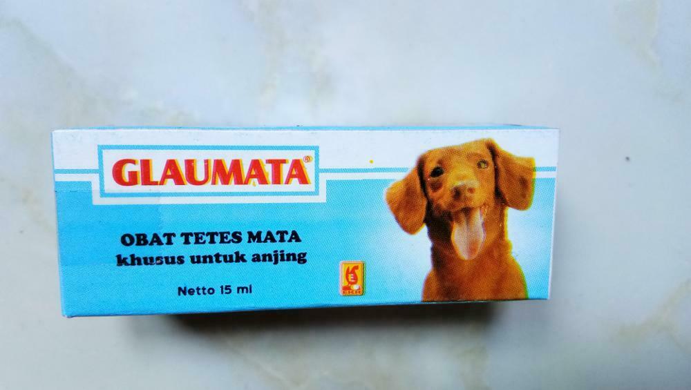 Glaumata Eye Drops For Bacterial Infection Only For Dog Contain