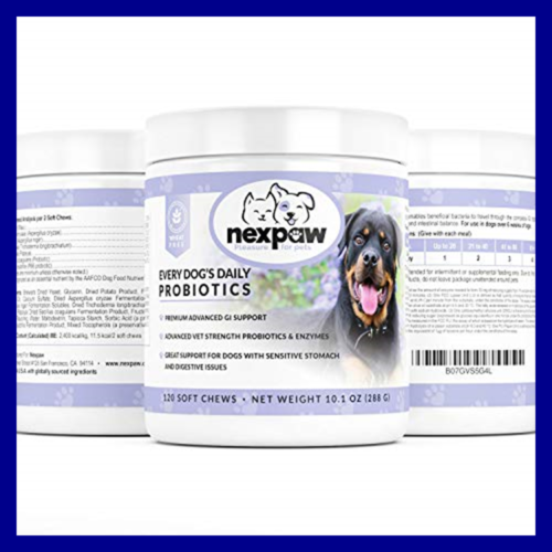 Probiotics For Dogs Digestive Health Supplement Eases Diarrhea Gas