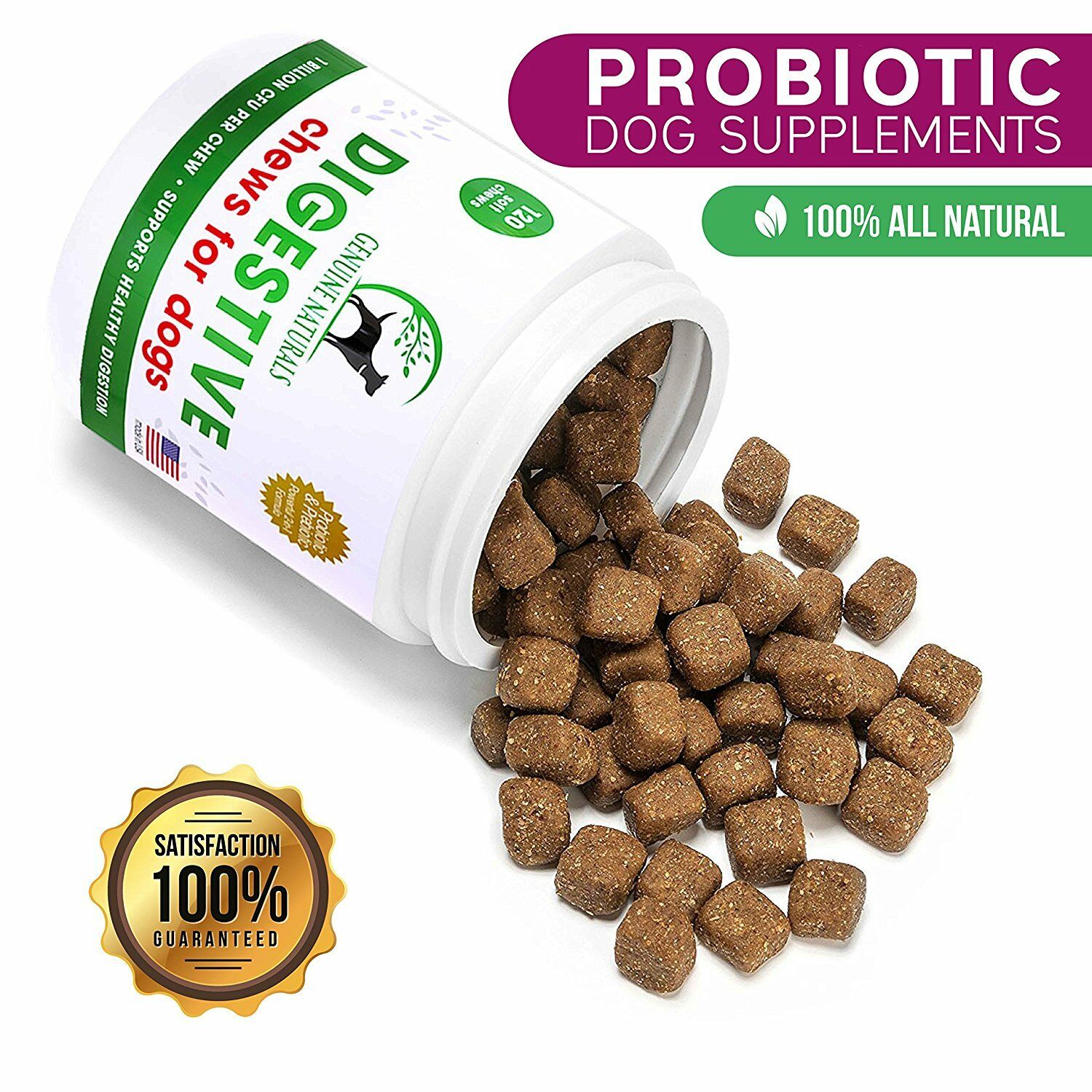 Digestive Health Supplement for Cats and Dogs Genuine Naturals 1 Soft